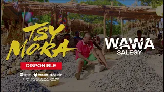 Wawa Salegy - Tsy Mora (audio)