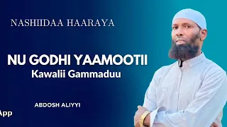 New NASHIIDAA HAARAYA ABDOOSH ALIYYI KAWALII GAMMADU 