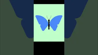 Drawing A Blue And Yellow Butterfly With Python