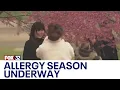 Allergy season wreaking havoc among unseasonably warm temps