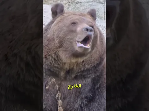 طلب من عائلته تقليد أصوات الحيوانات... فكانت النتيجة مضحكة!