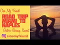 Road Trip - Miami to Naples