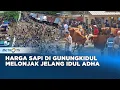 Download Lagu Gunungkidul Alami Kenaikan Harga Sapi Kurban Jelang Idul Adha