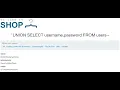 Portswigger SQL Injection Part 2 - UNION Attack