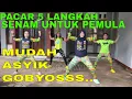 Download Lagu Senam dirumah sendiri aerobik dangdut pemula musiknya mantul