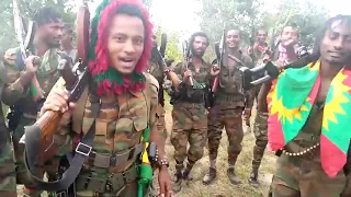 Gurmuu Hawwisoo WBO Zoonii Lixaa Ifaa Raggaasaa Jaallaankoo New Oromo Music 2021 