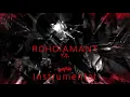 SAMRA - ROHDIAMANT II (Instrumental reprod.)
