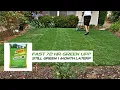 Vigoro fast 72 hour lawn fertilizer green up Does it work