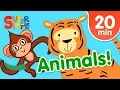 Lagu Our Favorite Animals Songs For Kids | Super Simple Songs
