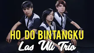 Download Lagu Batak Paling Mantap - HO DO BINTANG KU - Las Uli Trio #lagubatak MP3
