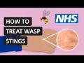 How to treat wasp stings at home NHS