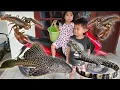 Download Lagu MENANGKAP IKAN SAPU-SAPU DAN UDANG PAKAI JARING BUBU - ada Komodo KW lewat😱❗❗❗