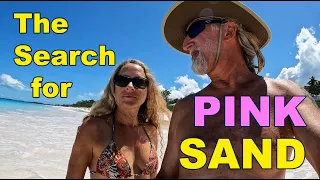 We Found an Unexpected Treasure on Eleuthera. E59