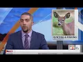 New Illinois law will allow three-year hunting and fishing licenses