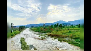 طرب ساحلي الفنان عتيق العلي 