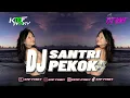 Download Lagu DJ SANTRI PEKOK || KMF FVNKY