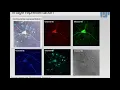 30 min Introduction to for analysis