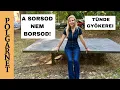 Download Lagu KITÖRHETSZ BORSODBÓL, DE NEM TÖRÖLHETED KI MAGADBÓL! A SORSOD BORSOD? - TÜNDE GYÖKEREI 4K Polgarnet