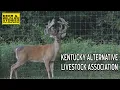 Kentucky Alternative Livestock Association Deer Wildlife Stories Deer Farming