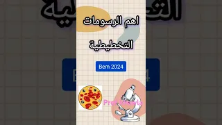 الرسومات التخطيطية للثلاثي الأول علوم طبيعية للسنة الرابعة متوسط 2024 2025 