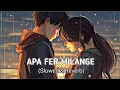Apa Fer Milange Song | Apa Fer Milaange Lofi | Slowed Reverb |