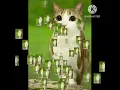 Lagu meowl edit #meowl #owl #owlcat #catowl #cat #edit #meowlthing