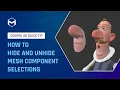 70 How to hide and unhide mesh component selections in Cinema 4D