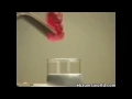 Ich bin ein gummibar