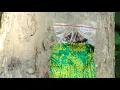 Download Lagu PENYEMPURNAAN TASBI SUKMA BATINIA..!!!!