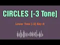 Circles Post Malone Karaoke 12 tones - Lower tone