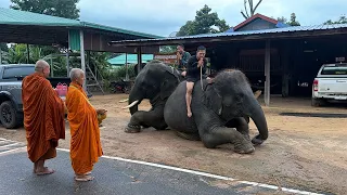 ใส่บาตรเช้า