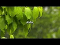 Channel
