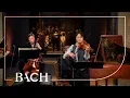 Bach - Vioolconcert in d klein BWV 1052R - Sato | Nederlandse Bachvereniging