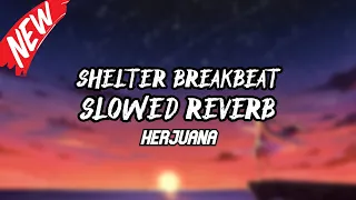 Download DJ SHELTER BREAKBEAT SLOWED REVERB TERBARU 2024 MP3