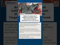 Download Lagu Wanita Tunawisma di California Amerika Serikat Tewas Dikeroyok Anjing Liar, Tergeletak \u0026 Luka Parah
