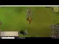 Wilderness Slayer Moss giants