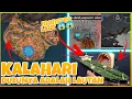 Download Lagu Mengungkap misteri map Kalahari free fire | Map yang dulunya lautan 😱😱