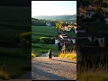 Download Lagu Tiny Penguin’s Countryside Morning #penguin #ai #cute #cuteanimals #tiny #adorable #babyanimals