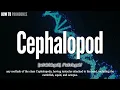 Cephalopod Pronunciation How to Pronounce say Cephalopod CORRECTLY Meaning Definition