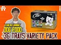Delicious Cesars Dog Food Cesar Wet Dog Food 36 Trays Variety Pack Delicious Gourmet Dog Food