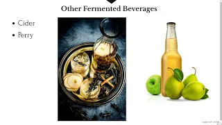 Alcoholic Beverages Revision 1