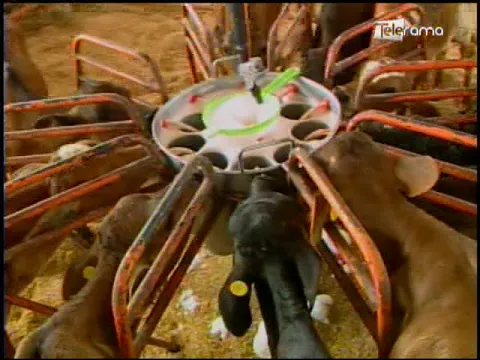 Ecuador Agropecuario 07-08-2018