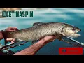 Cetinaspin Boat fishing