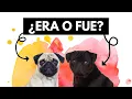 ERA vs FUE End the Confusion with Spanish Pasts