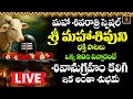Lagu 🔴LIVE 2026 మహాశివరాత్రి రోజు వినాల్సిన  భక్తి గీతాలు  || Lord Shiva Devotionals || Srimatha Bhakthi