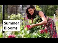 Download Lagu Summer Bulbs Are Blooming: DAHLIA, LIATRIS, CROCOSMIA — Ep. 326
