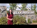 New Construction Homes in Frederick MD Bloomfields 55 Villas by Ryan Homes