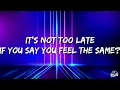 Julia Church, Alok, Gryffin - Never Letting Go (Lyrics)