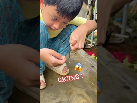 NEMU CACING ENAK!😱🪱🐟
