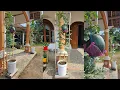 Download Lagu Cara menanam semangka dari benih sampai panen || How to grow watermelon from seed to harvest